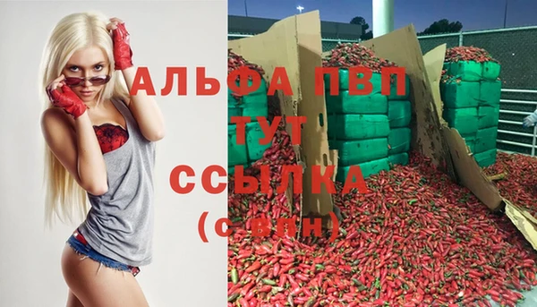 круглые Абаза