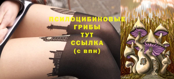 круглые Абаза