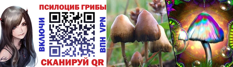 Псилоцибиновые грибы мицелий купить сайты Прохладный